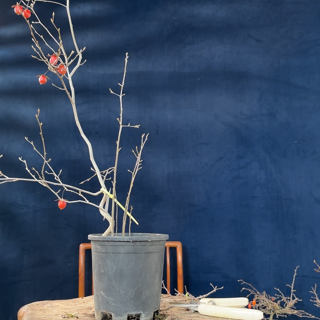 半***墨哈哈哈哈哈哈哈哈