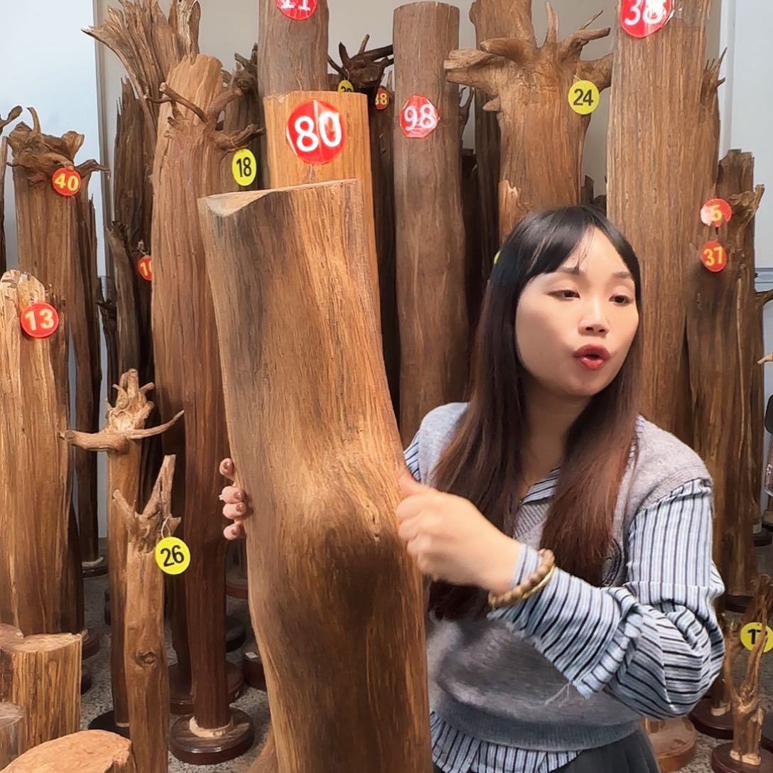 沉香沉香碎屑天然沉香原材料香料熏料