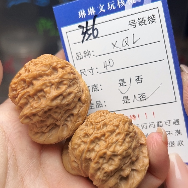 文玩核桃吊坠核桃树等356