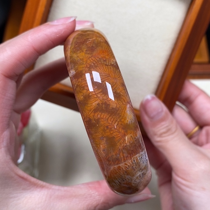 硅化珊瑚（珊瑚玉）手镯未镶嵌61.5