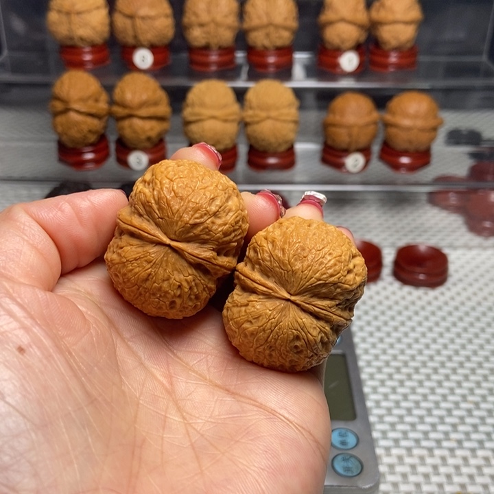 文玩核桃把件2鹦鹉元宝