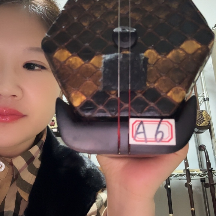 谢***保爆满金星的大叶紫檀二胡