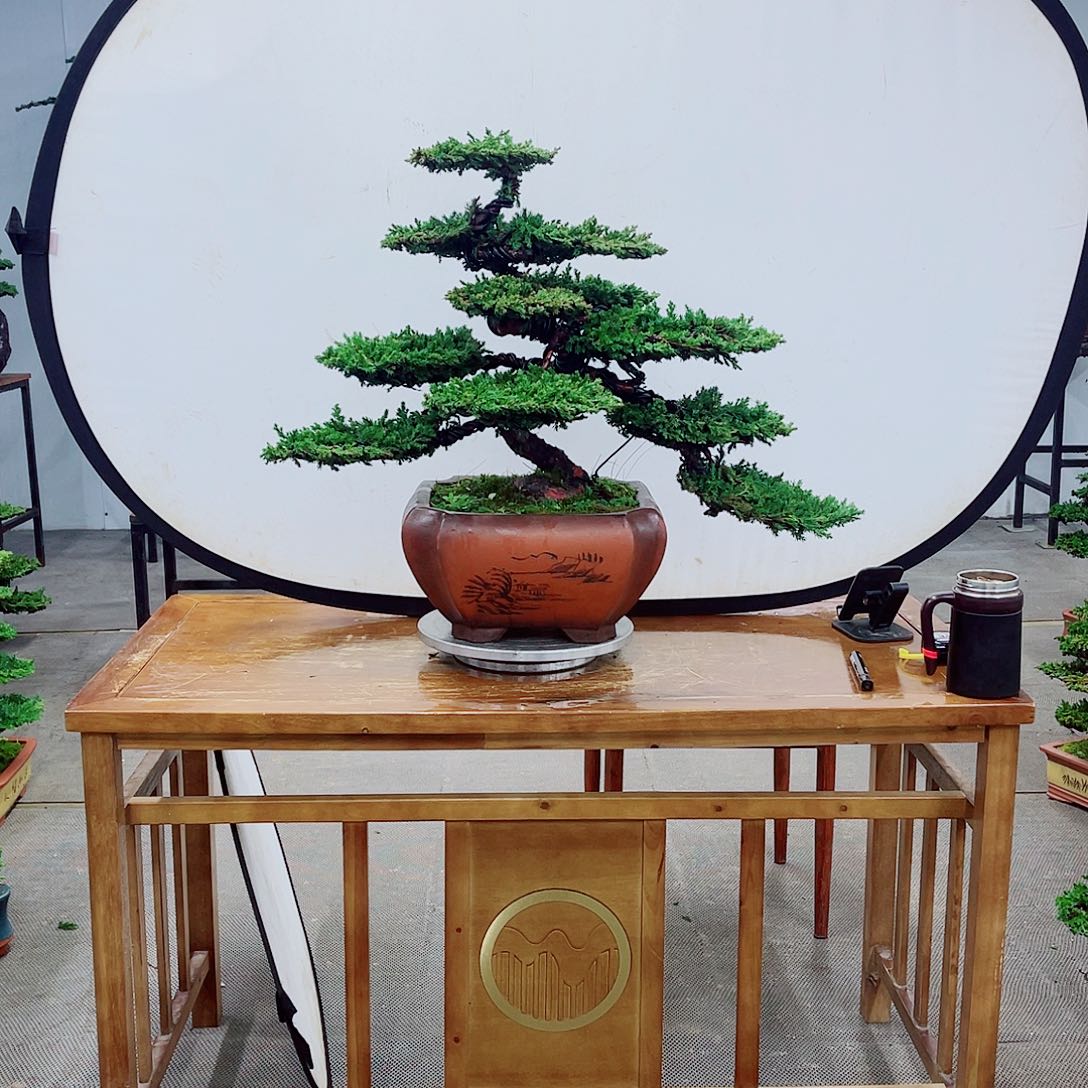 无花朵直播间一物一拍