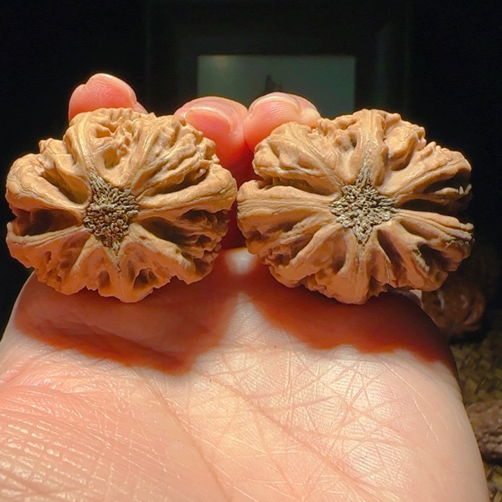 文玩核桃吊坠米子107