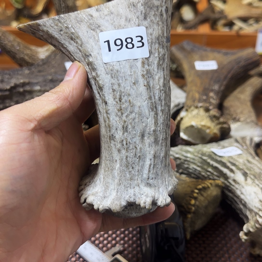 手串/手链鹿骨1983弹弓