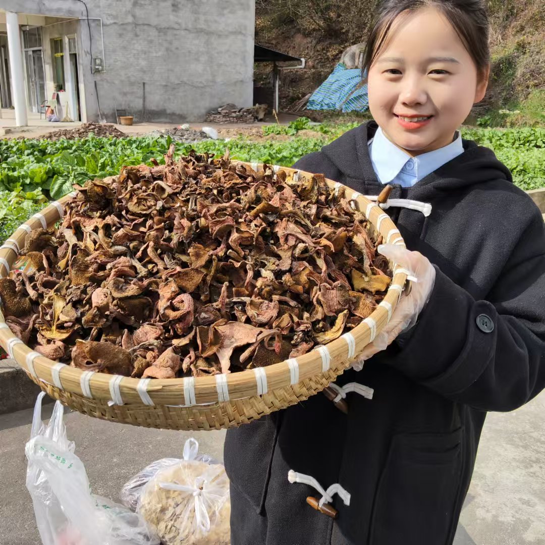 《百村千人》通江农家自晒松菌