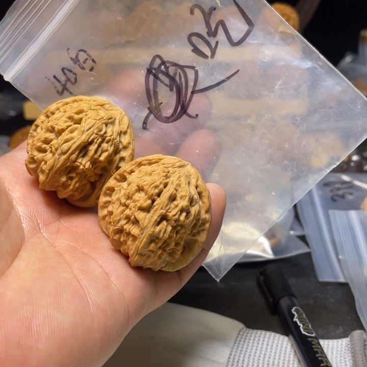 吃***。文玩核桃把件白狮子