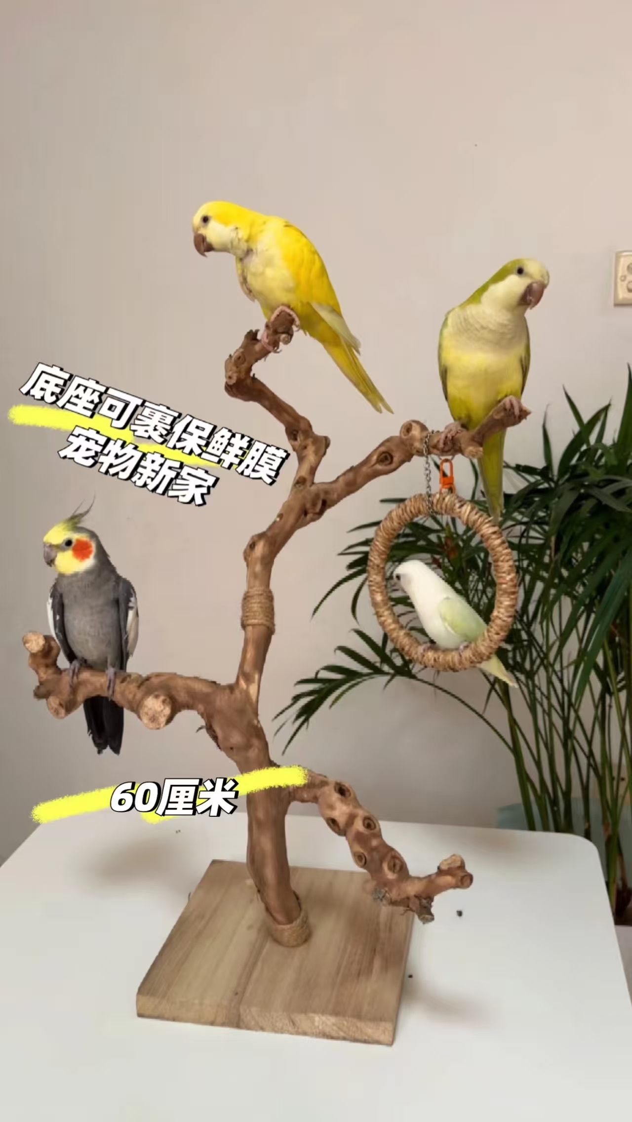 鹦鹉葡萄木玄凤鸟站杠磨爪棒磨嘴磨牙棒站棍站台鸟具攀爬秋千架