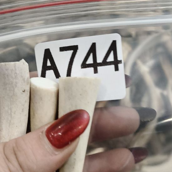 祥***和鹿角鹿角鹿角鹿角鹿角