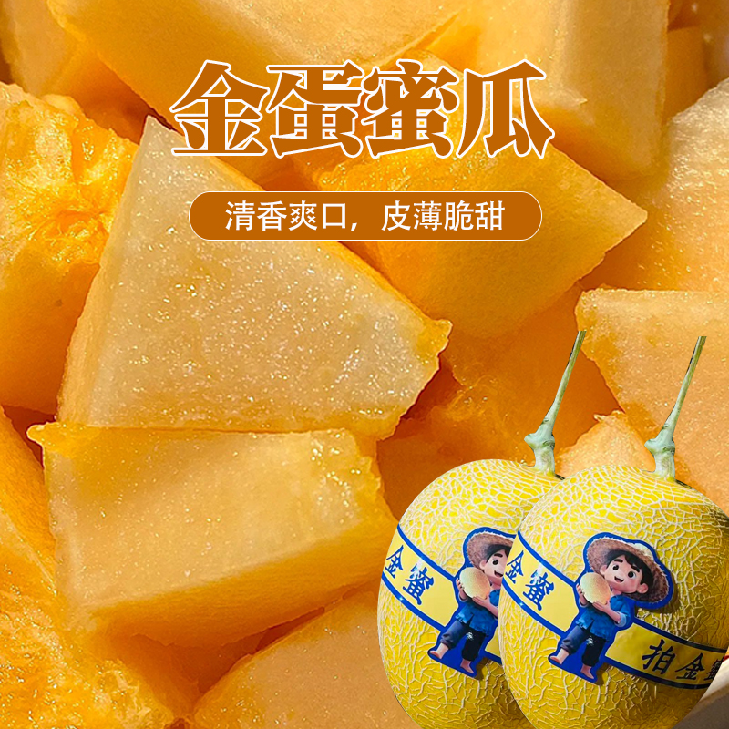 【坏果包赔】海南金蛋蜜瓜2粒6-6.5斤（脆甜）