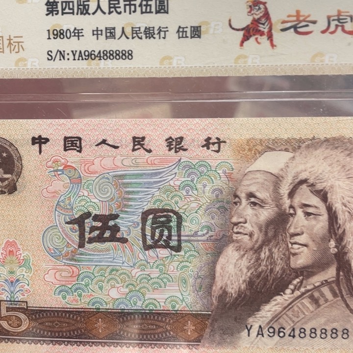 805老虎号一张一张一张一张一张一张一张