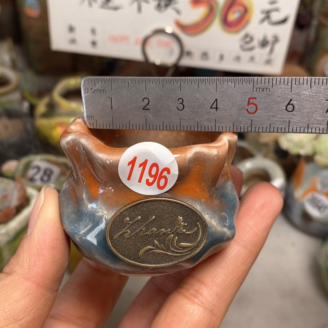 花盆拍5送一个小礼物