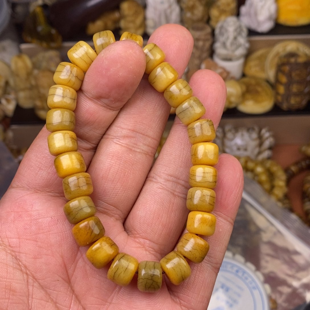 其他驼骨人工样子