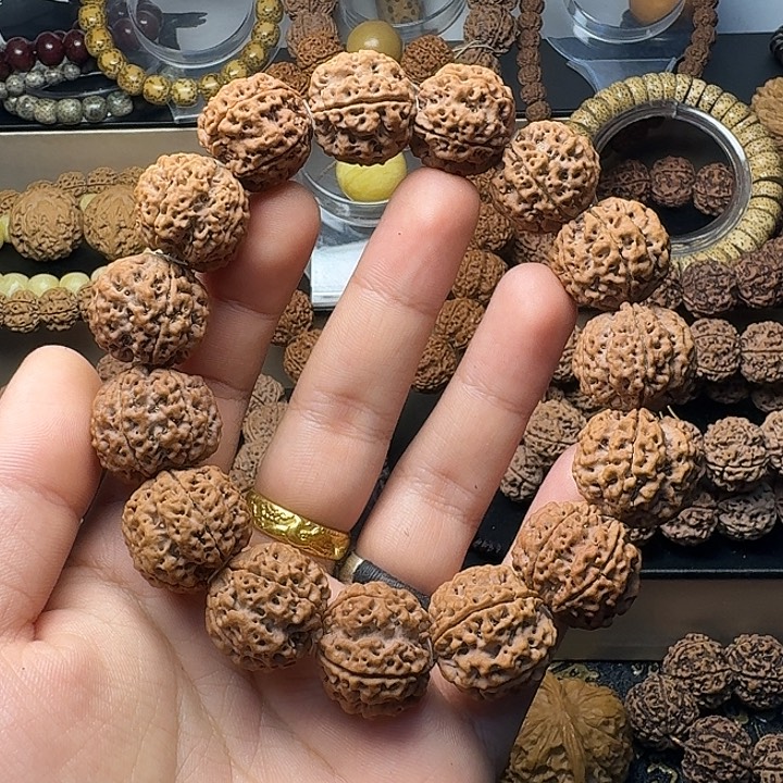 吊坠金刚菩提原生态梅花蜂王22