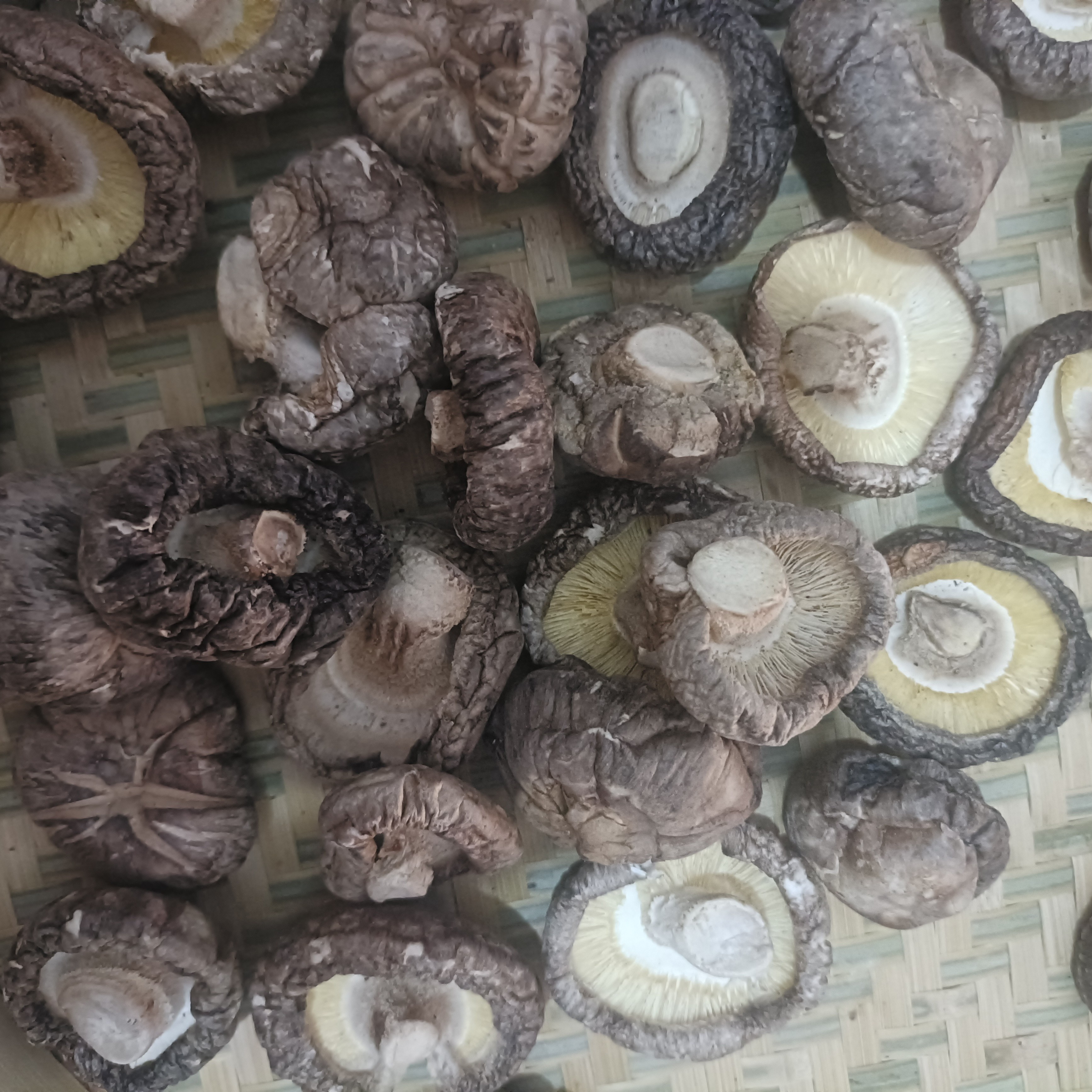 马姐泰世兴干货副食  干香菇  500克  250克