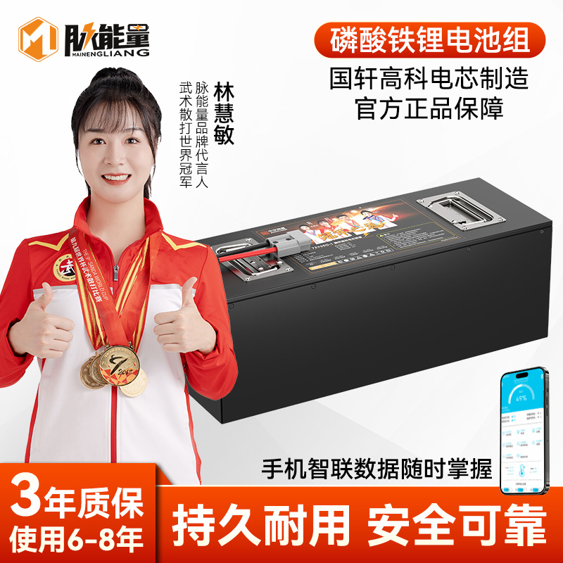 72V72AH-L大容量国轩高科长续航磷酸铁锂电池适用于两三轮外卖车