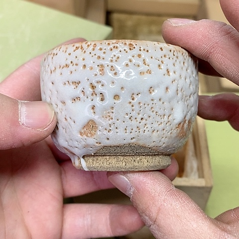 紫砂哈哈哈哈哈哈哈哈哈哈