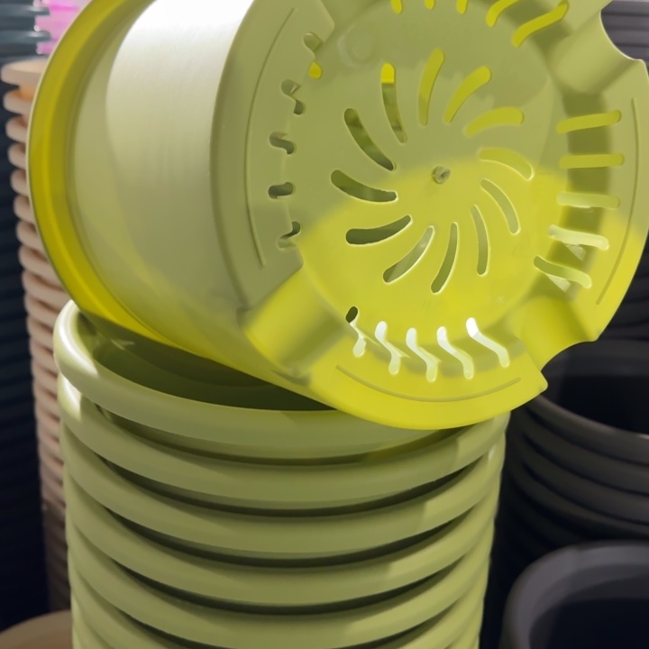 四季6号5个果绿色的花盆