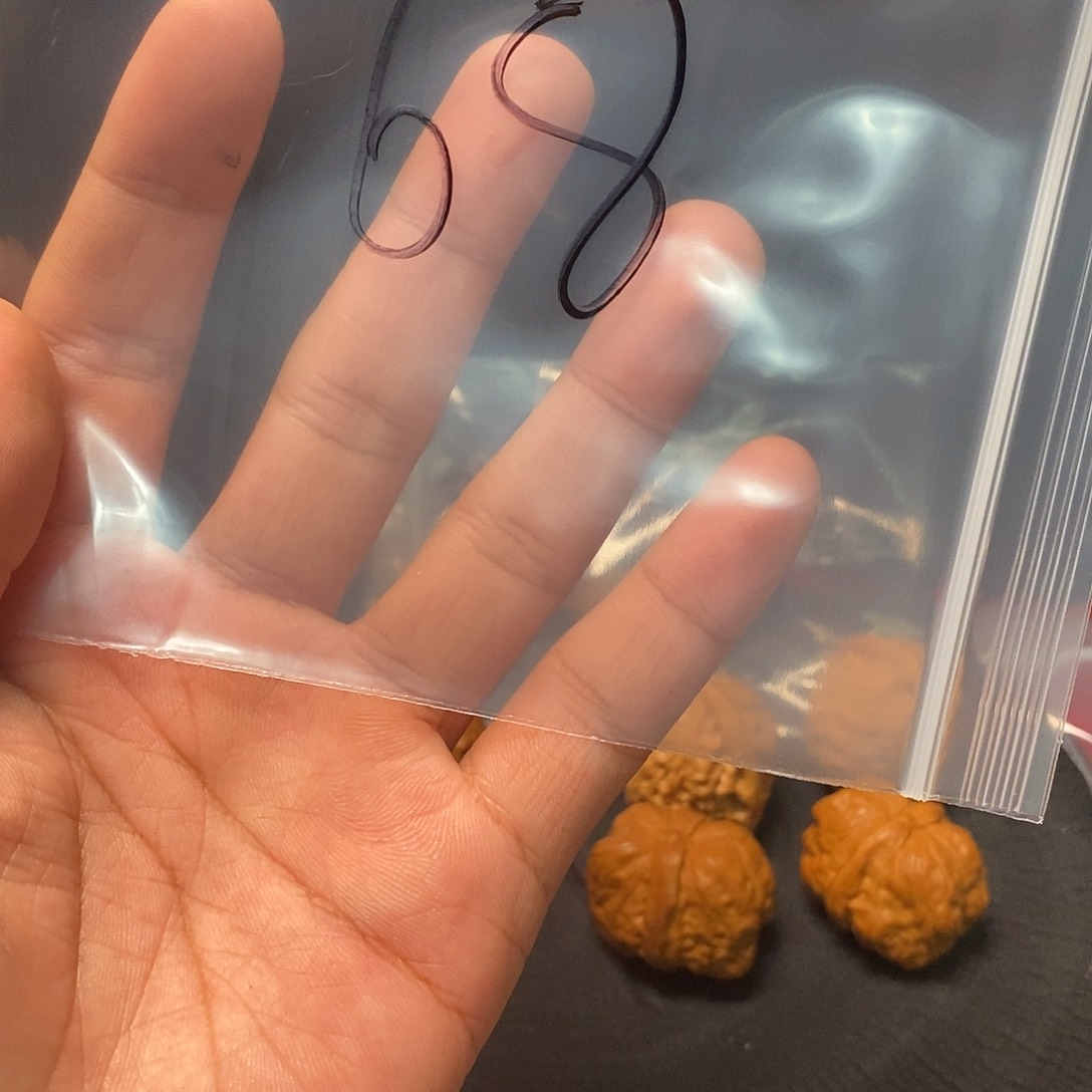 核桃等经济林果地的作用，核桃