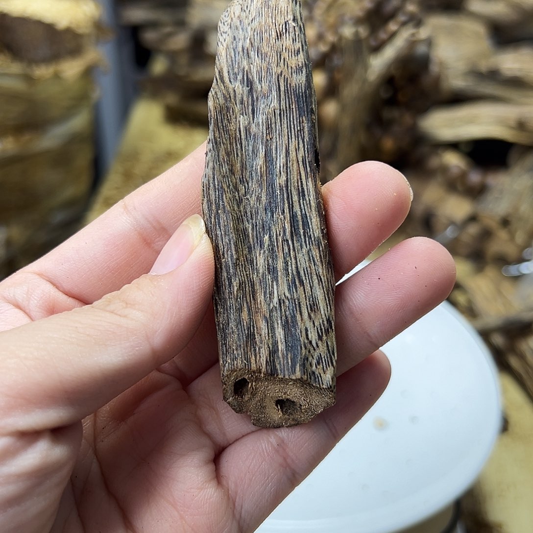 木绿奇楠虫漏原材料9克
