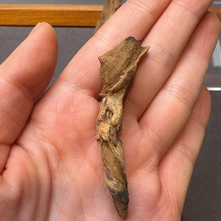 c***c沉香碎屑沉香富森红土2.9gFO-01