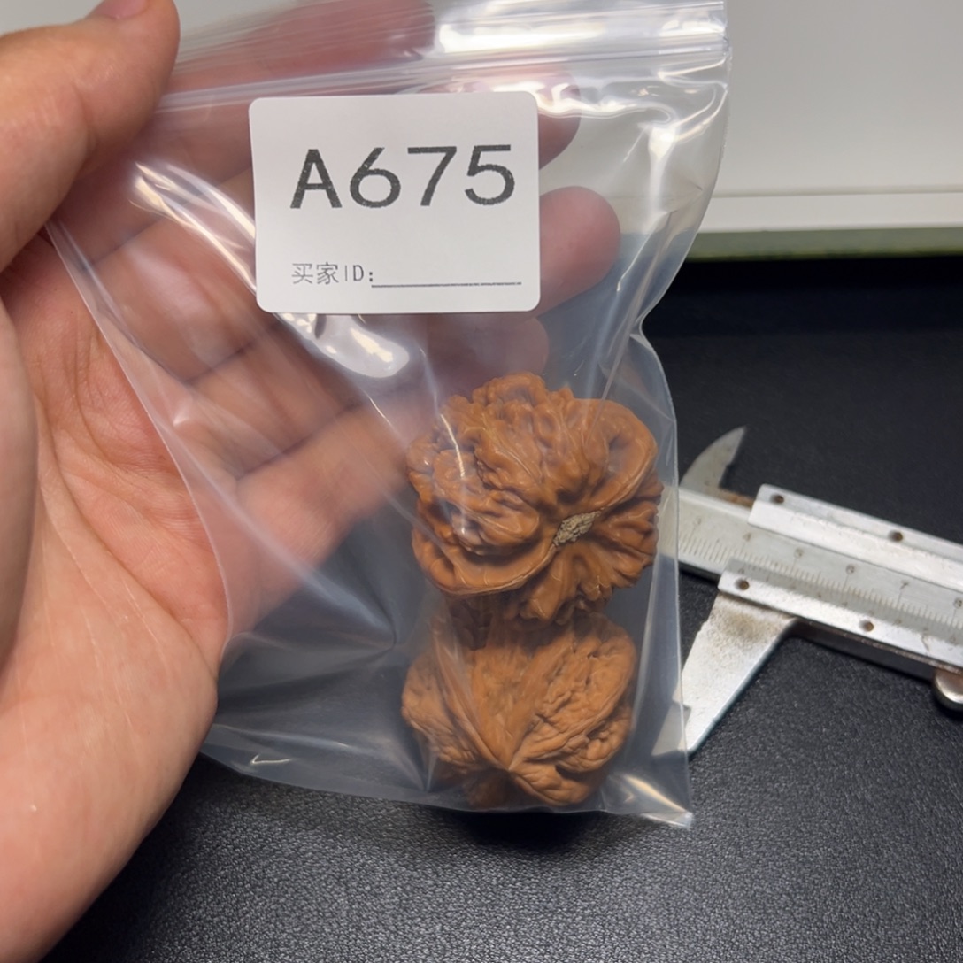 7***.核桃哈哈哈哈我的小