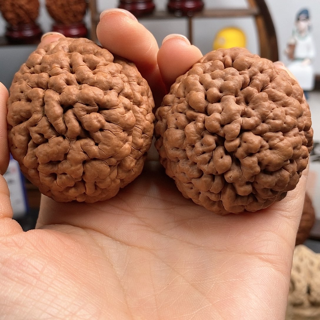 文玩核桃把件三瓣脑纹金刚爆肉4751