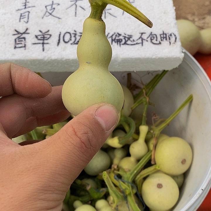 d*武刚刚更换健健康康就看看姐姐