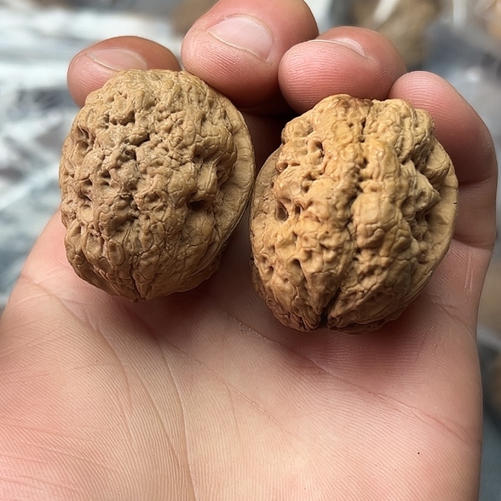 核桃6号金刚佛手37尺