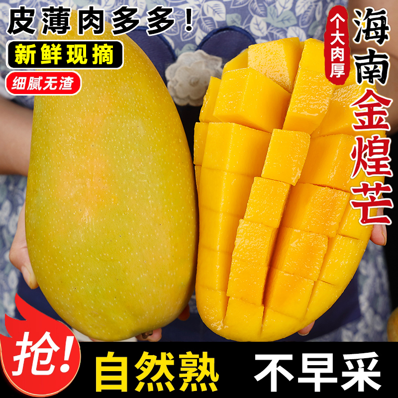【放软吃】海南金煌芒大芒果5斤10斤新鲜热带水果 香甜多汁皮薄核小