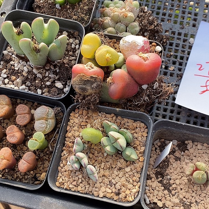 2719组合福利一组。   