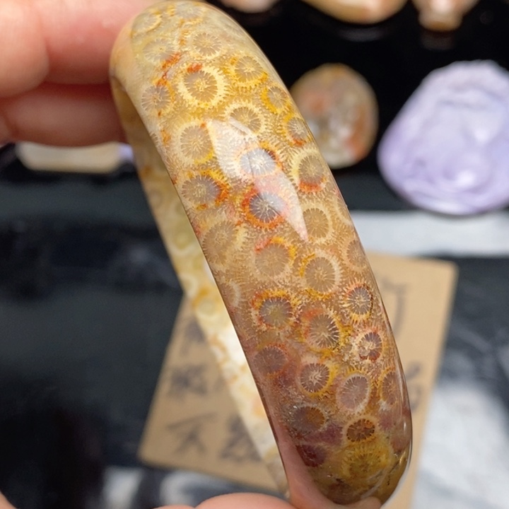 硅化珊瑚（珊瑚玉）手镯未镶嵌58.5