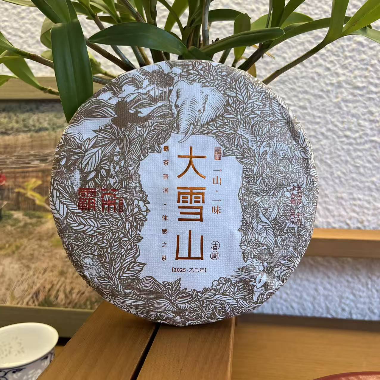 霸茶 大雪山2025年 古树普洱生茶200g