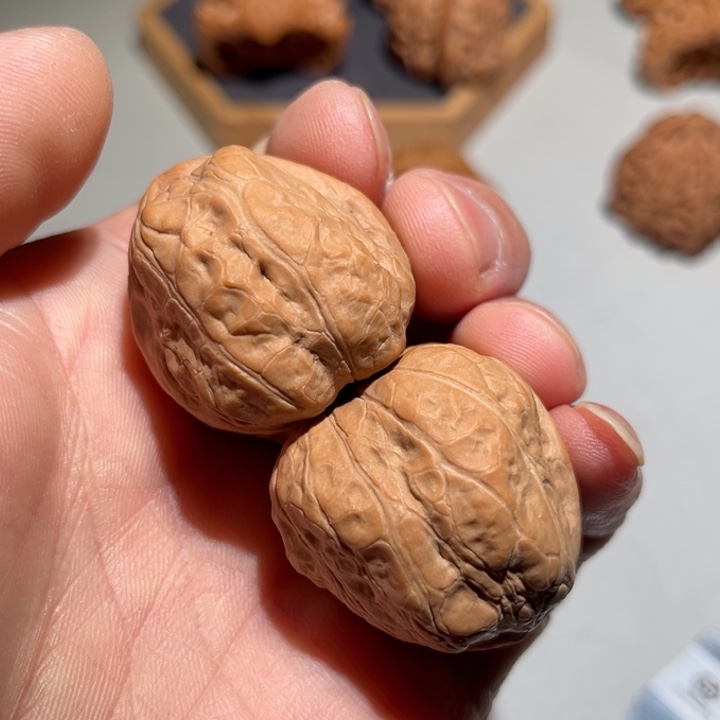 文玩核桃把件玉蟾37.8