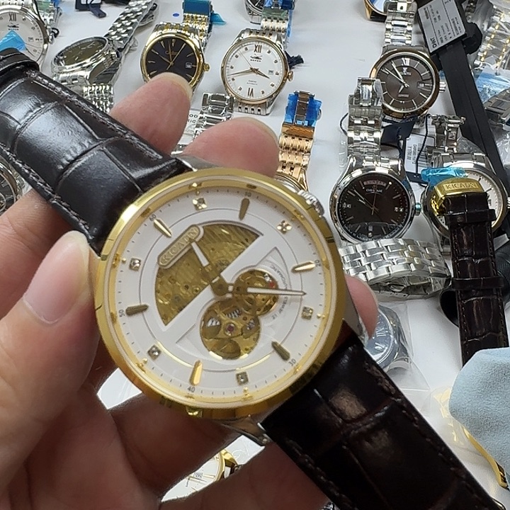 机械全自动表一支