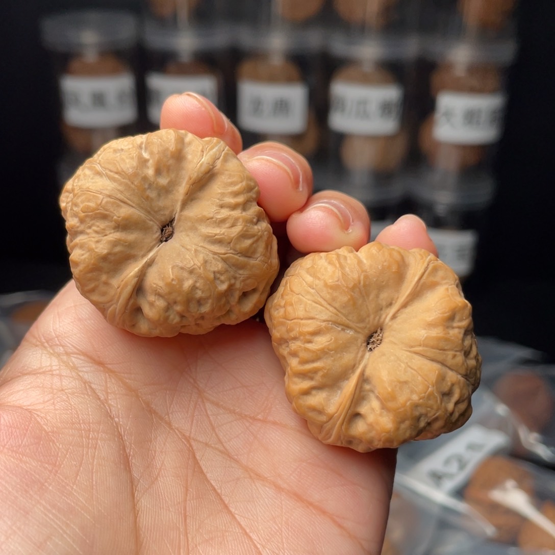 文玩核桃把件萌****?古蝉