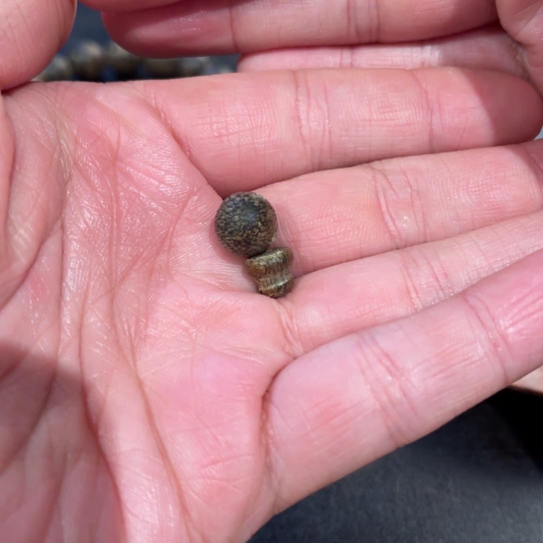 沉香吊坠铁*文莱沉香0.68g