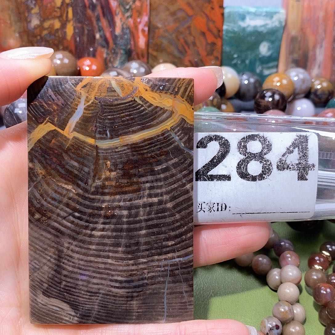 未镶嵌天然北票树化玉吊坠硅化玉