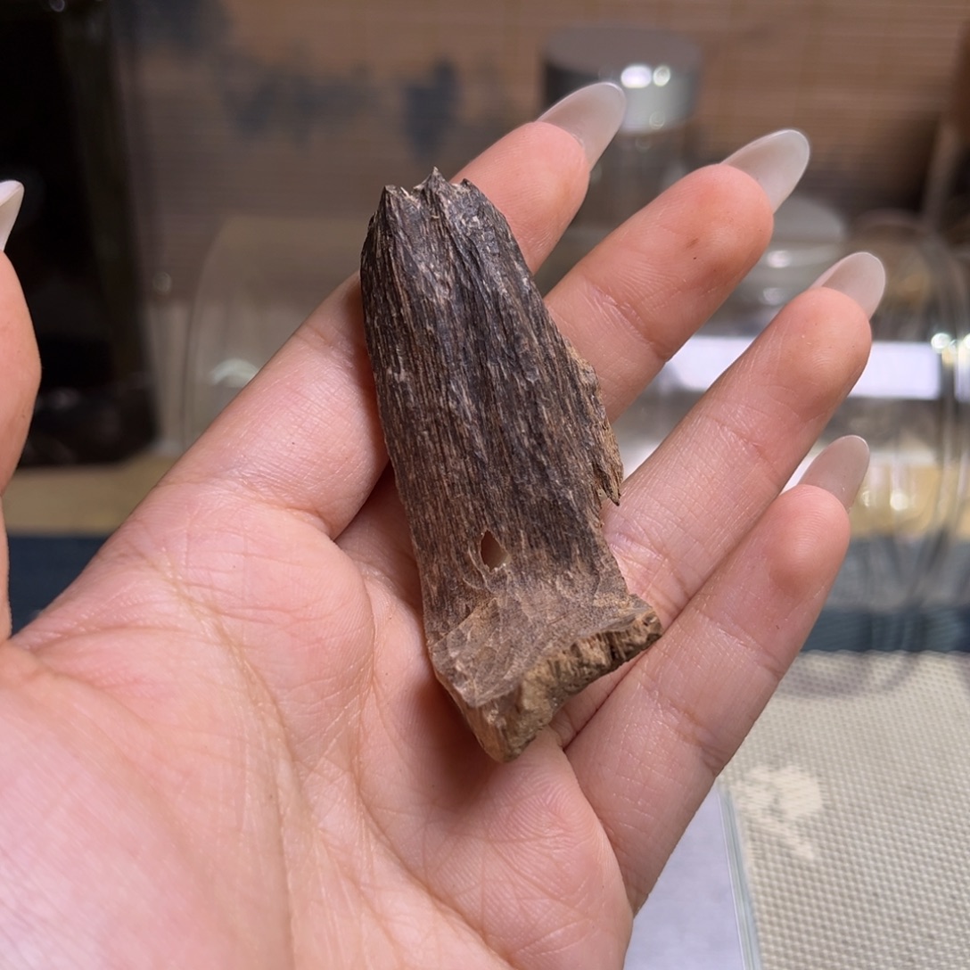 香料海南屯昌包壳3克中场福利