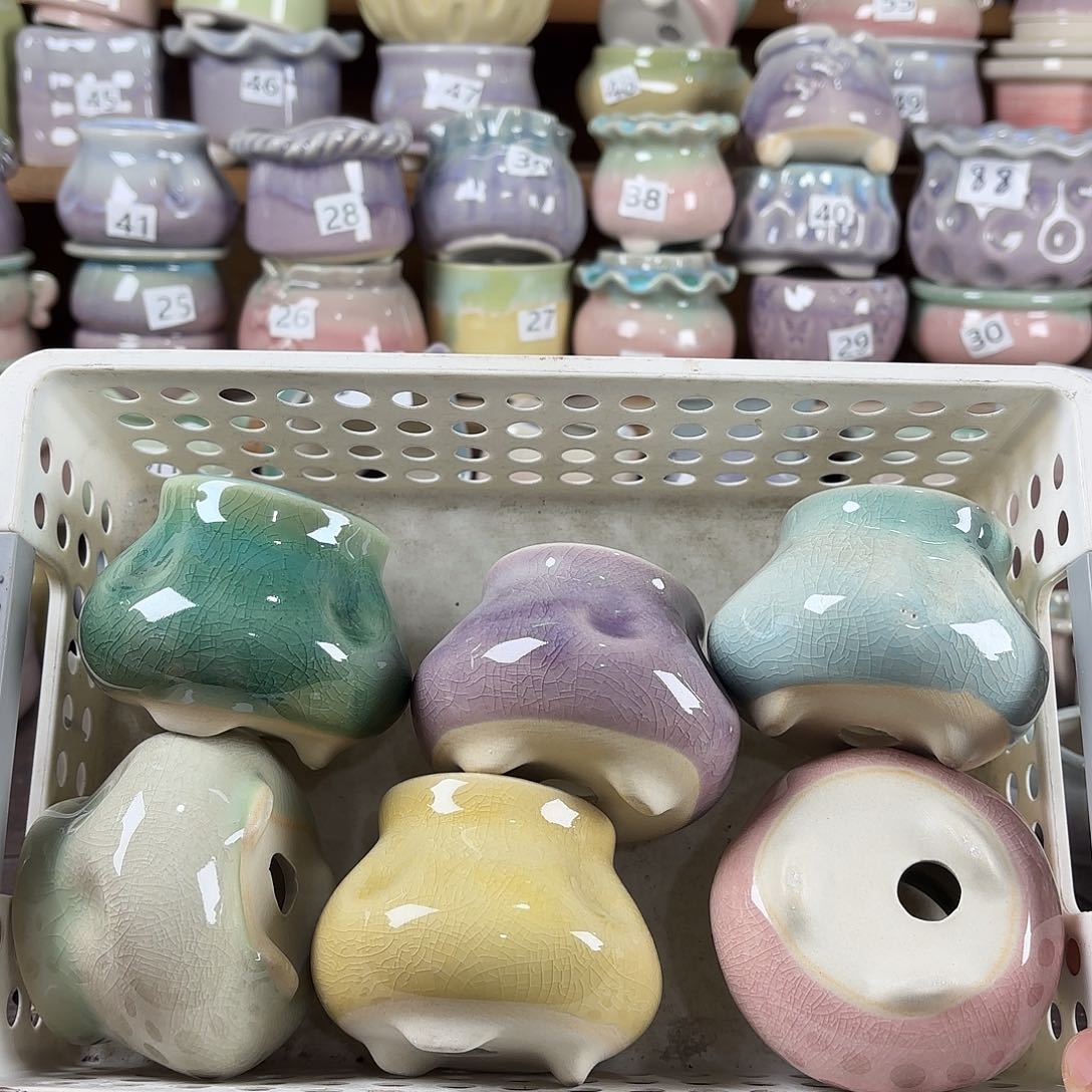 陶瓷量货/口5高6深浅搭配发6