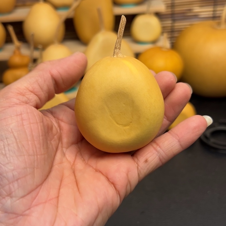 微*555666555555555558