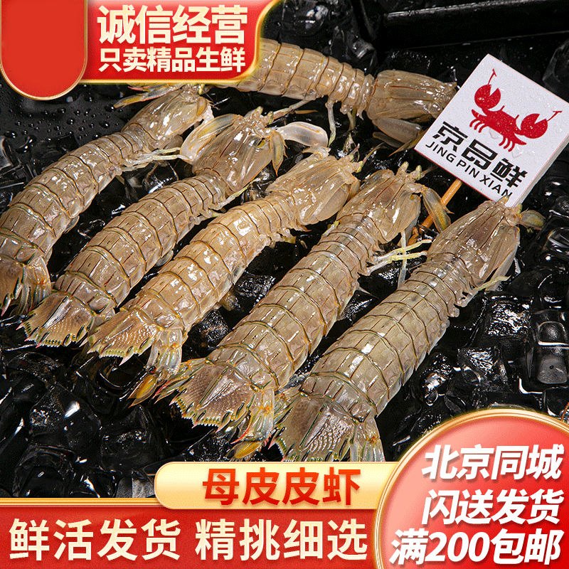 鲜活皮皮虾一斤500g公母可选