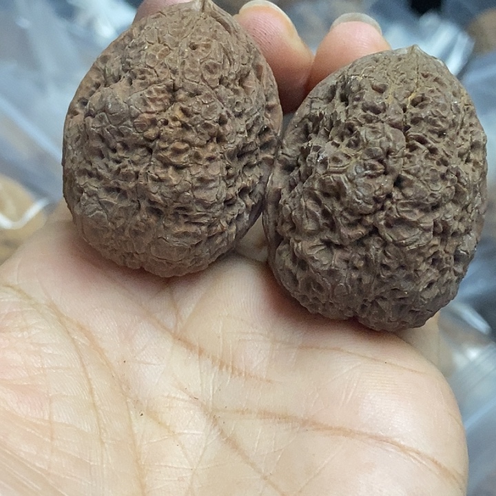 文玩核桃把件云南铁核桃基地85