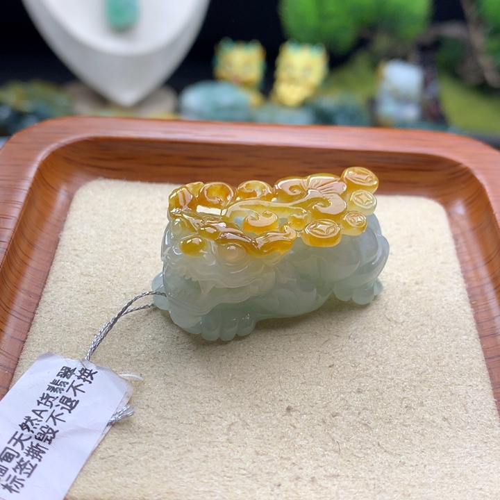 翡翠未镶嵌颈饰貔貅9