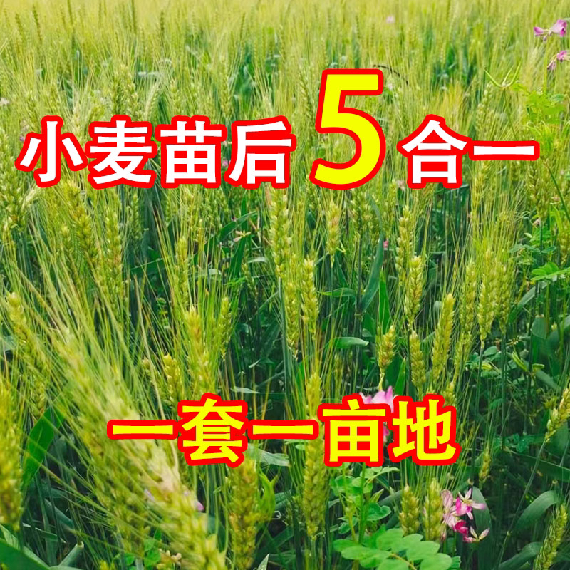 【五合一】小麦苗后技术包小麦苗后专用叶面肥