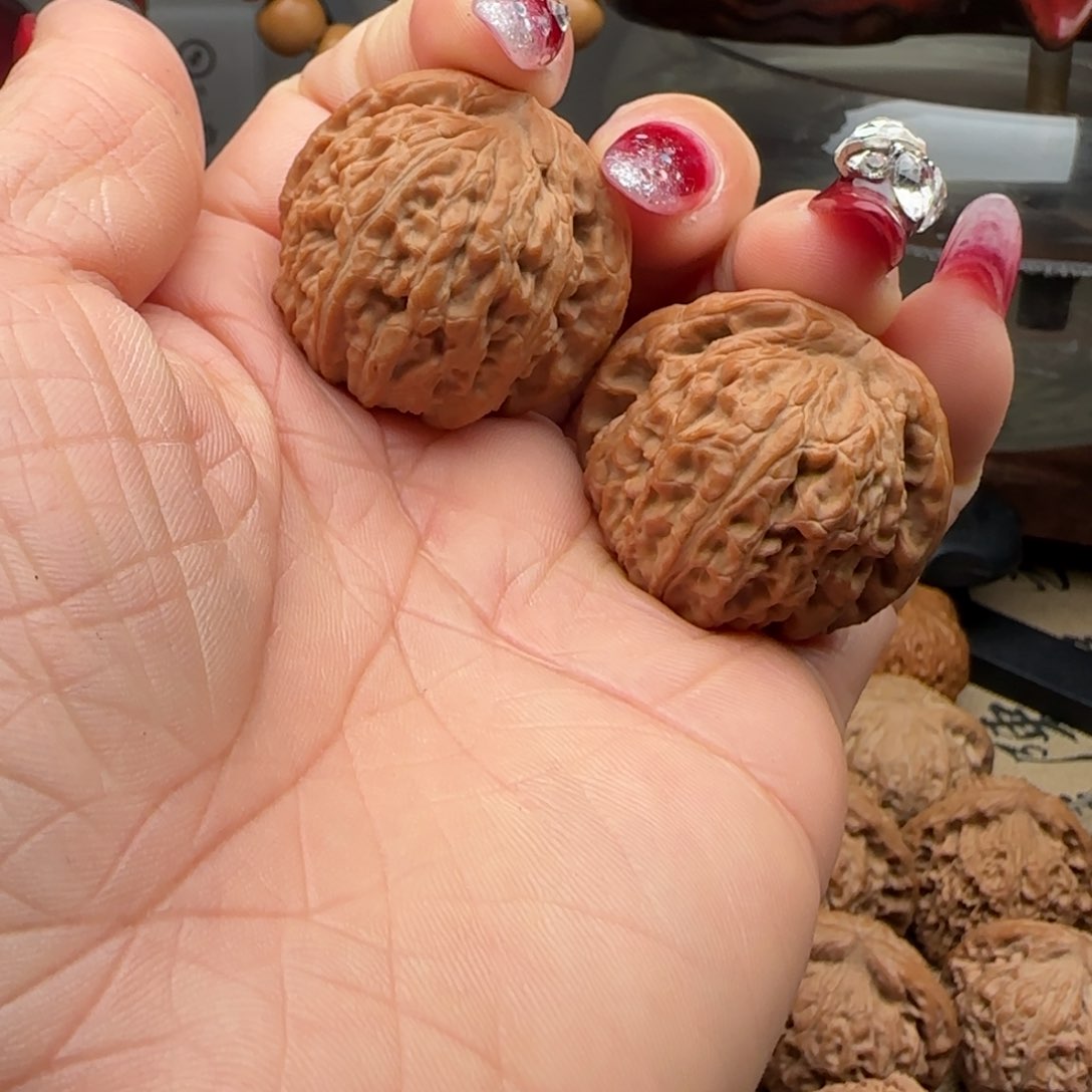 核桃核桃白狮子狮子头