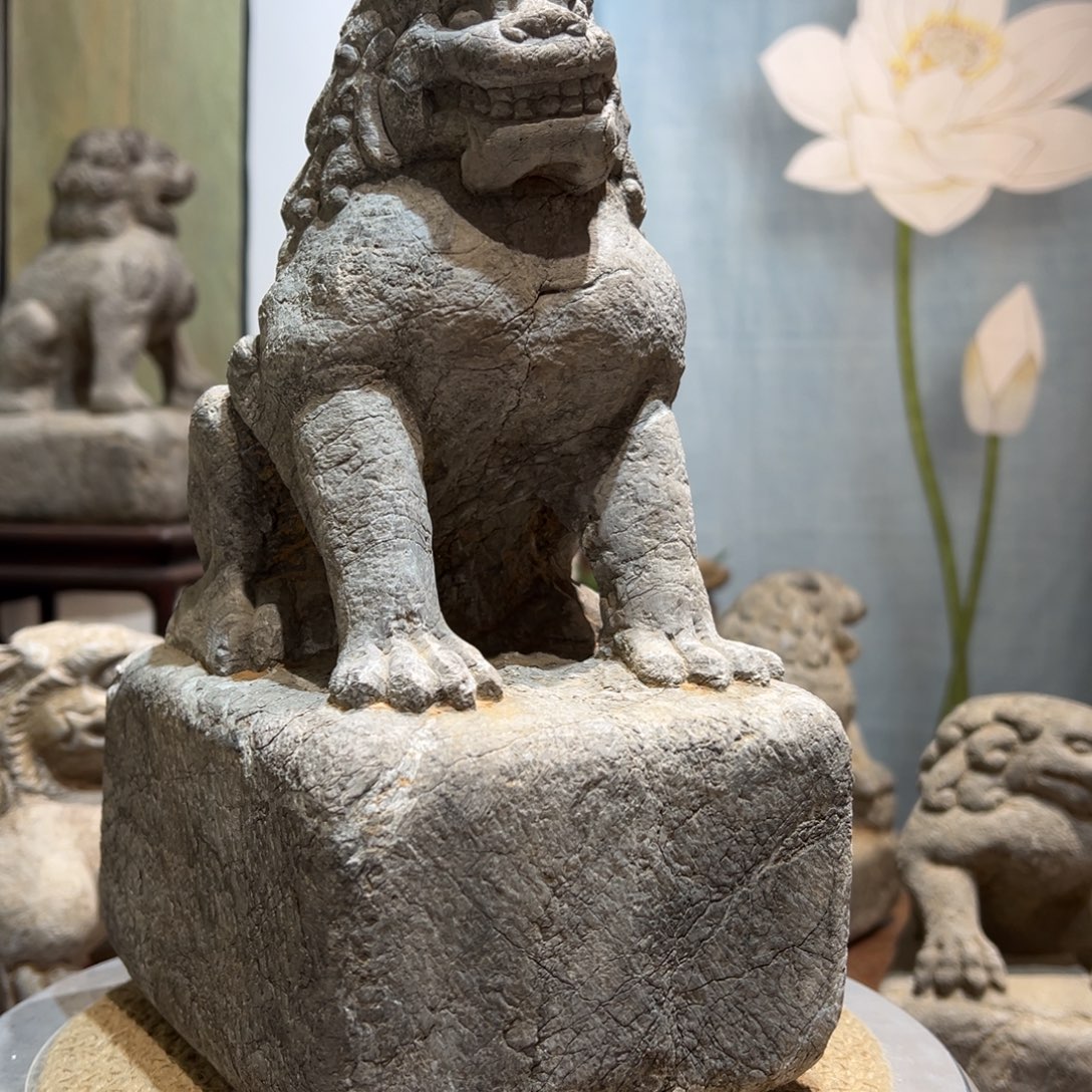 我是你的小可爱啊