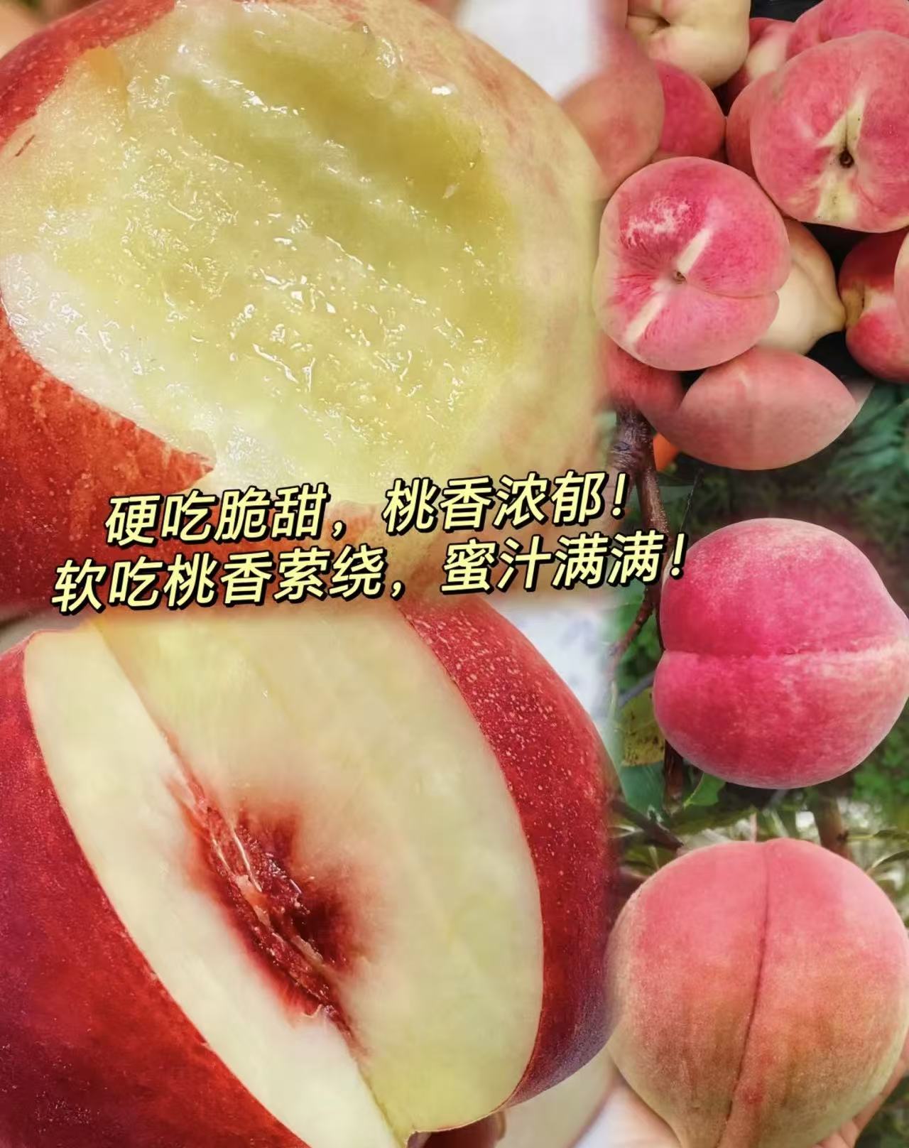 应季水果高山20年老树冬桃现摘现发脆冬桃脆甜桃子