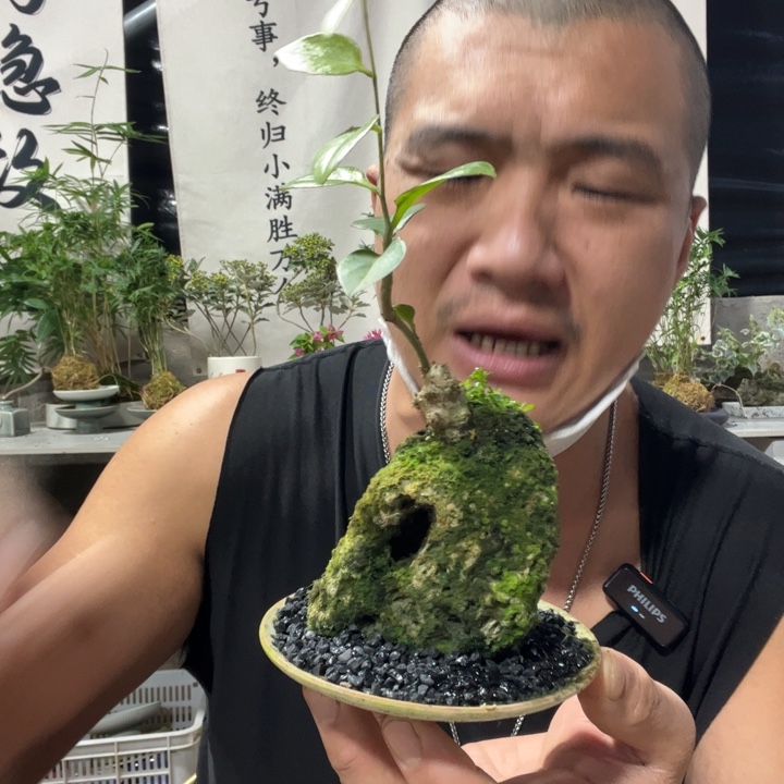 无花朵退款拉黑拉黑69