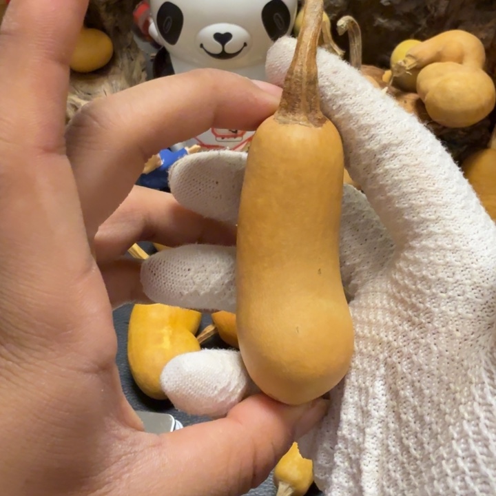 佛***人66……………………………………